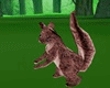 P9) Animted Squirrel
