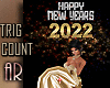 NEW YEARS 2022 COUNT