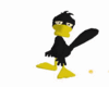 Daffy Duck Costume Black
