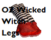 OZ Wicked Witch Legs 3D