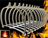HF Whale Bone Rib Cage