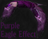 Purple Eagle Effect