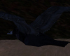 Solo Raven fly &Sound