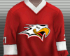 Vaasan Sport Jersey