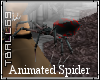 Animated Pet Spider