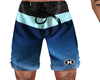 cz. surf shorts blue