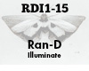 RanD Illuminate