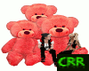 Red Teddy Family