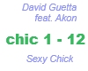 David Guetta / chick