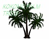 KOKOMO PALM TREES