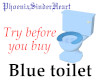 Blue toilet