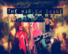 Harlem Shake + Sound
