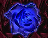 Neon Blue Rose