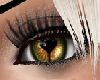 Unisex Gold Eyes