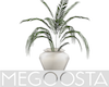 Large Potted Palm