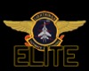 Elite Pilot Hat .3