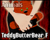 TeddyButterBear (F)