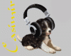 ~Cas~Puppy Greek Radio