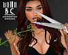 B* Cutting Roses Avi