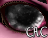 [C.A.C] PinkShar Eyes F