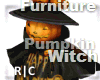 R|C Pumpkin Witch 1 FV