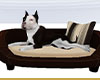 Pit Bull Bed