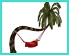 Allure Hammock