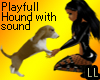 LL Playfull Houndw/sound