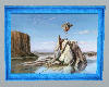 Rocks