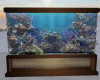 aquarium fish animated