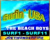 Beach Boys Surfin USA