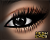 Obsidian | Mesh Eyes