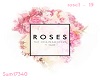 ChainSmokers "Rose"