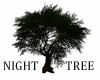 NIGHT PARK TREE