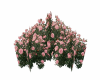 Bush Pink Flower V2