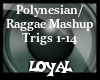 poly/ raggae mashup