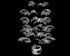 Black plant