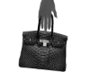 Mini Ruthenium B!rken