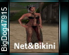 [BD]Net&Bikini