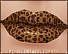 [PLL] Allie Leopard