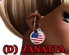 (DAN) USA Earrings