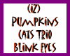 (IZ) Pumpkins Cats Trio