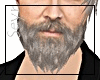 Barba Grisalha