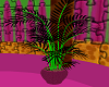 LC Animated Plant 