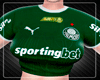 Palmeiras 2025 (F)