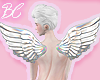 eIridescent Angel wing