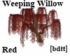 [bdtt]RedWeepWillow Tree