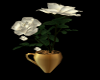 CCP Cup of Roses