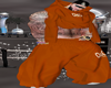 HAREM COOPER PANTS