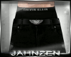 J* Ripped Pants